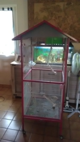 Volière rouge sur roulette