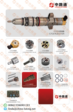 Fit CAT Fuel Injection Pump Check Valve-Caterpillar Injection Pump
Check Valve