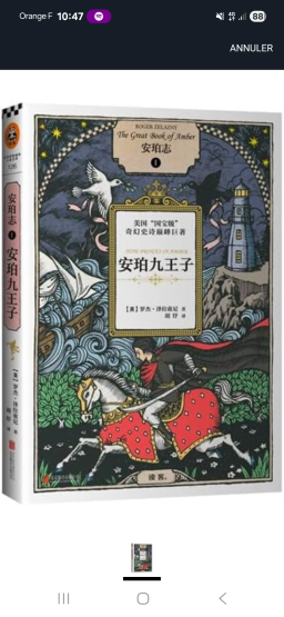 Livre chinois en excellent état