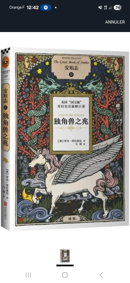 Livre chinois d'occasion en bon état