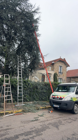 Service professionnel d'entretien d'espaces verts