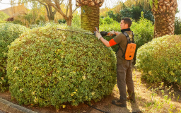 Services de jardinage professionnels à votre disposition