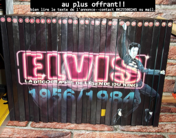 Elvis Presley : La Collection Discographique du King