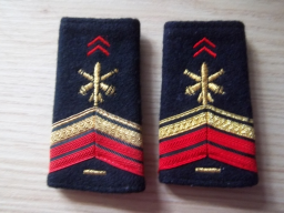 Lot de fourreaux d'épaulettes pour brigadier chef ADL