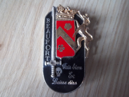 Insigne promotion EOR Coëtquidan Drago élève officier