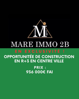Spécial Investisseurs