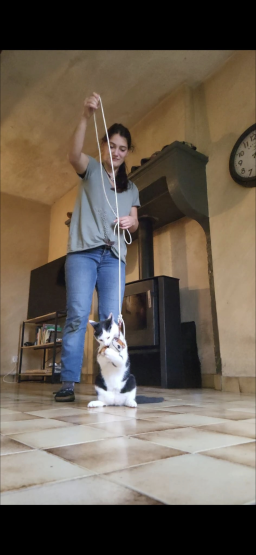 Garde et balade à domicile