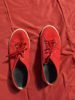 Chaussures élégantes pour femme