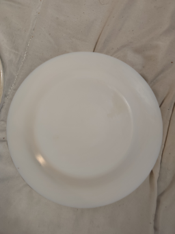 Assiettes made in France en porcelaine