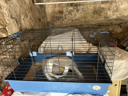 Cage à lapin et accessoires divers à récupérer