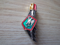 insigne 7éme régiment chasseur arme blindée cavalerie