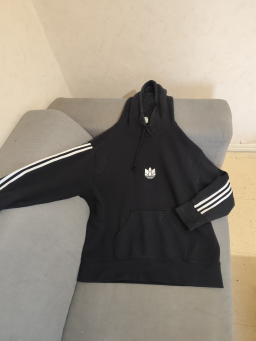 Sweat à capuche pour homme