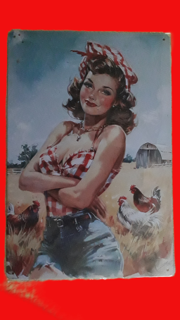 Plaque de décoration murale à 10 euros pièce