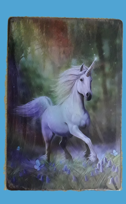 Plaques décoration murale à 10 euros l'unité