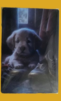 Plaque Décoration Murale à 10 Euros