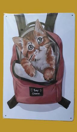 Plaques de décoration murale à 10 euros l'unité