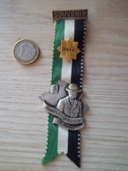 Médaille de 1966 de la Garde Suisse - Collection Vintage