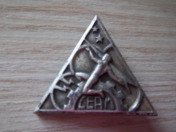 Insigne rare du Centre d'Expérimentations Aériennes Militaires de Mont de Marsan