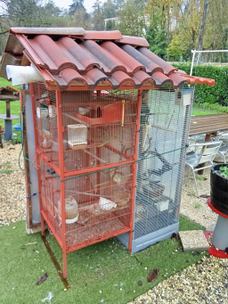 Cages à oiseaux