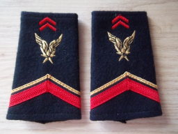 Lot de fourreaux militaires ALAT Aviation