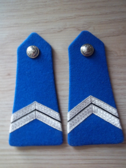 Lot de pattes d'épaule pour police municipale