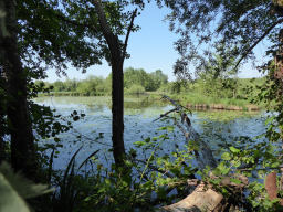 Recherche emploi journalier – disponible immédiatement