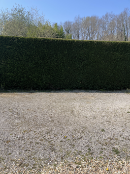 Service de débroussaillage et élagage