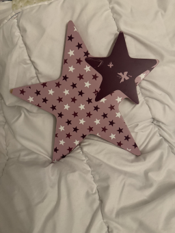 Étoile décorative en métal pour votre intérieur