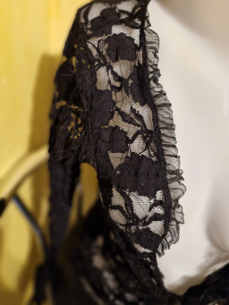 Petit haut transparent