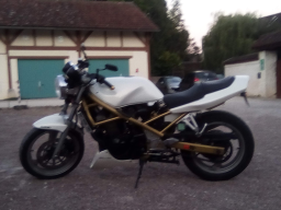 Suzuki Bandit 400 - Moto d'occasion