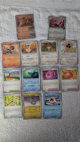 Mini-collection de 11 cartes françaises et 2 cartes Pokémon promo