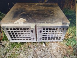 Caisse à chien Atemis en bon état