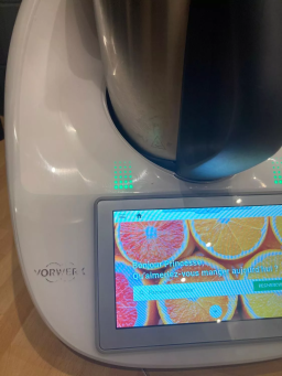 Thermomix TM6 en très bon état