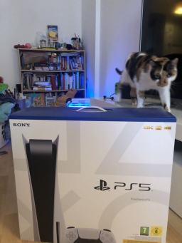 PS5 Playstation 5 Standard - Annonce sérieuse